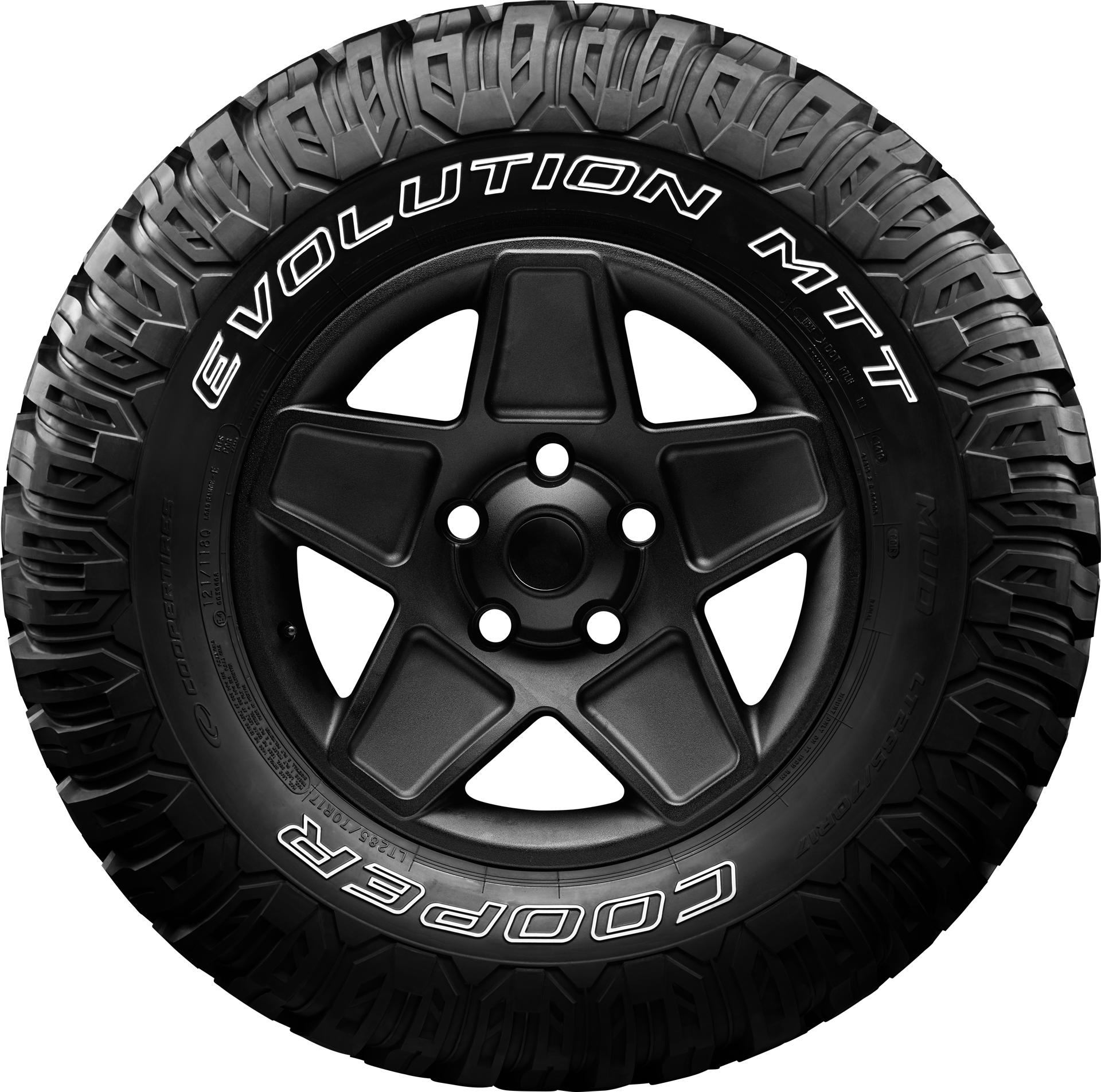 Vignette 3 pour EVOLUTION MTT